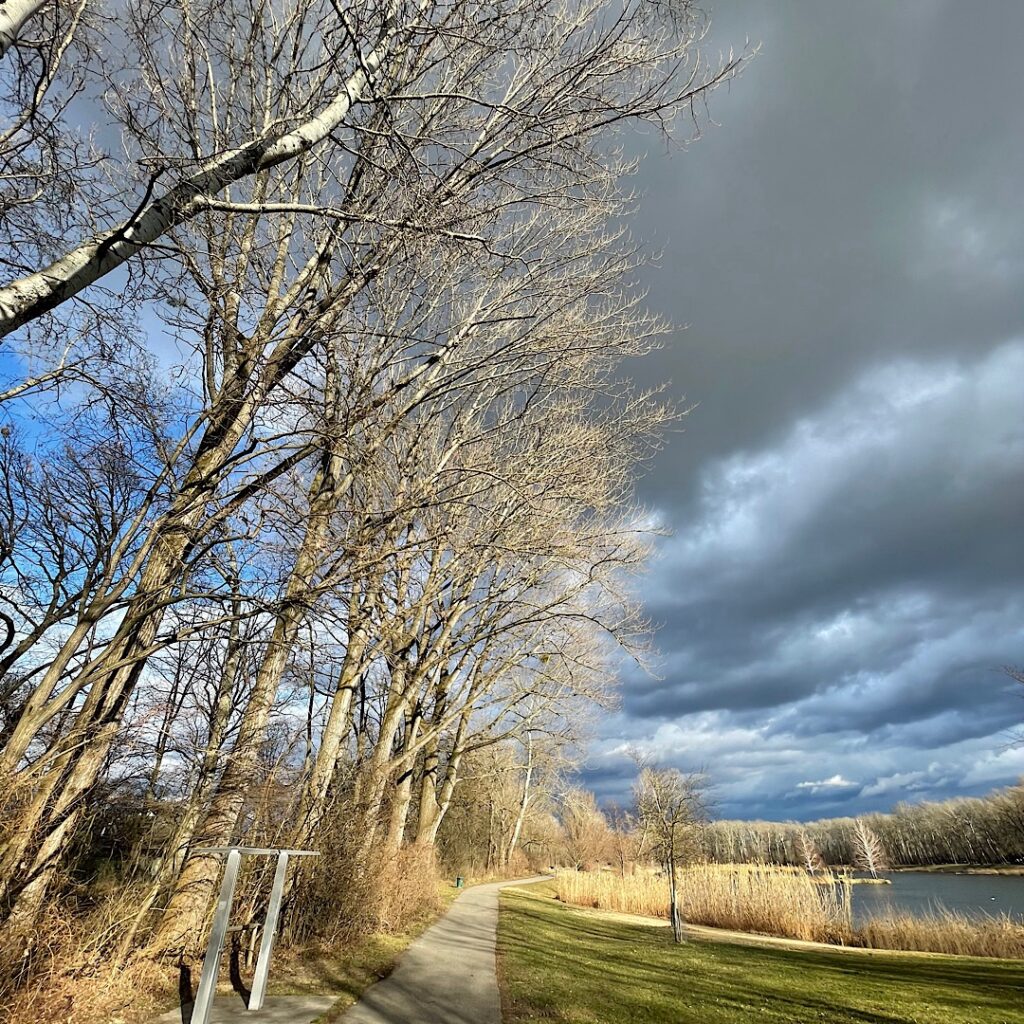 Bäume und Himmel